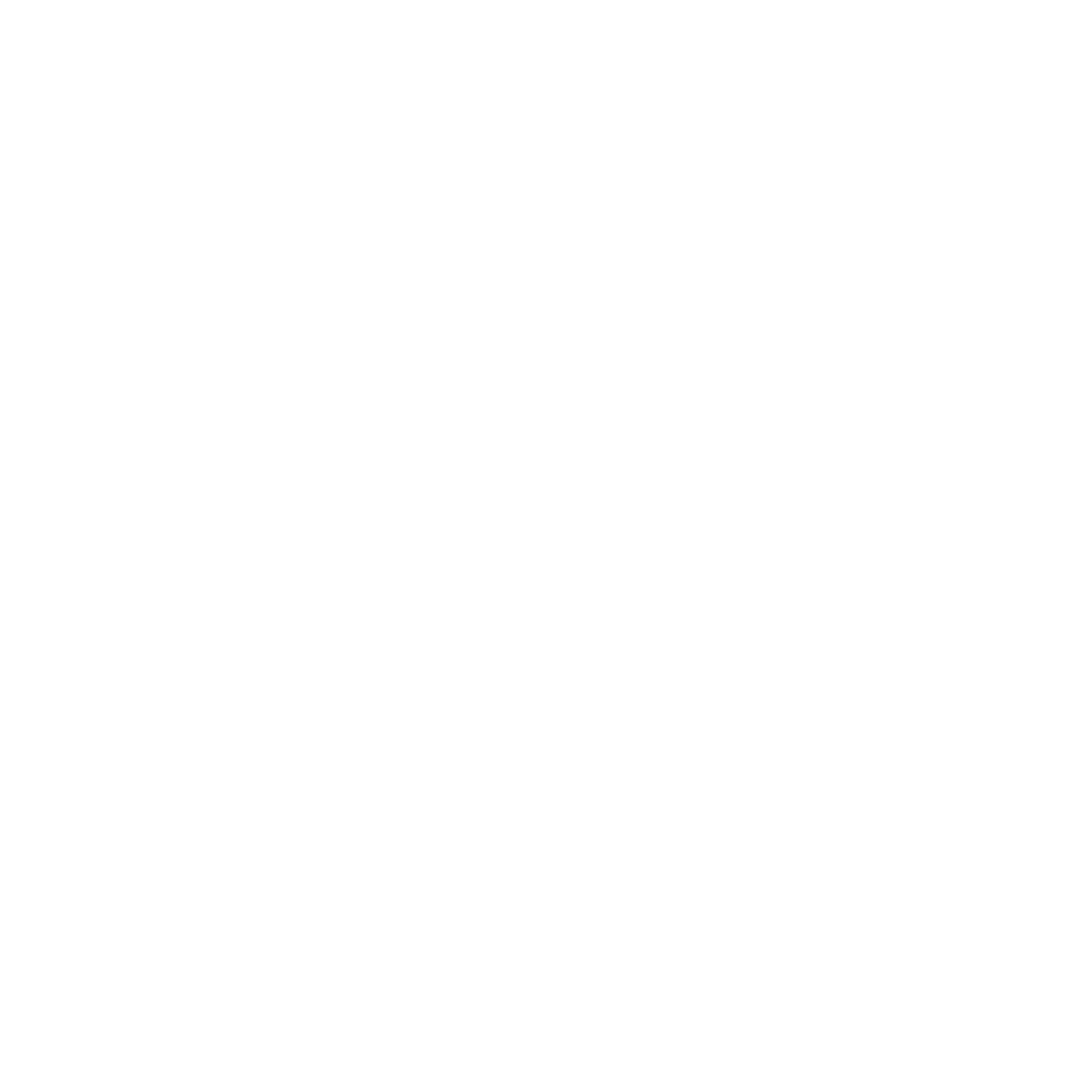 Fluxus Logo